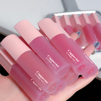 Gloss à Lèvres Rose Cœur Disponible en 6 Couleurs, Fini Juteux et Brillant, Teinte Hydratante Effet Miroir Cappuvini, Gloss à Lèvres Mignon Très Pigmenté