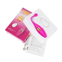 Kabelloser Tragbarer Ei-Vibrator G-Punkt Klitoris Sexspielzeug Höschen Ferngesteuerter Vibrator-Ei