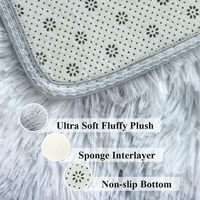Tapis moelleux pour chambre à coucher, grand tapis d'intérieur en peluche douce pour salon