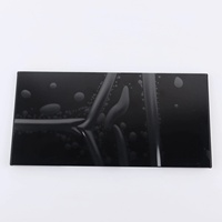 NOUVEAU Écran LCD 10,1 pouces C101HAX01.0 C101HAA01.2 pour AUDI Q3 Sportback RSQ3 F3B 83A919620 Remplacement OEM du panneau tactile