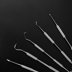 Stainless Steel Dental Tool Set 9 Piece Portable Oral Hygiene Kit For Home Use - Product Image 2