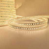 Bande lumineuse LED flexible enroulable étanche 110V 220V SMD2835 50m 100m 144 120 LED 220V