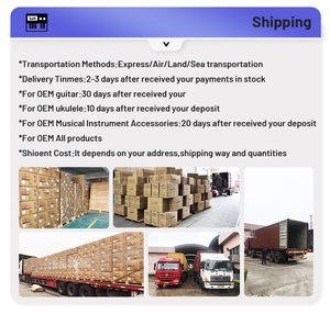 اختيار الغيتار مباشرة من المصنع Alice our أنماط مختلفة مميزة غير لامع أنماط السيلوليت الوحش اختيار الغيتار - Product Image 4