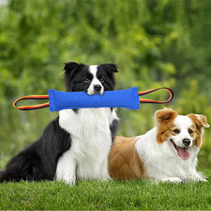 Bâton de mastication en chanvre fin pour l'entraînement canin, pour le nettoyage des dents molaires et le jeu interactif - Modèle XD141 - Jouets à mordre - Product Image 6