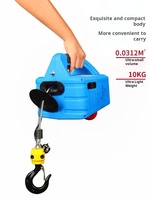 Palans électriques portables à câble métallique de 100 à 500 kg, 110 V/220 V, avec télécommande sans fil