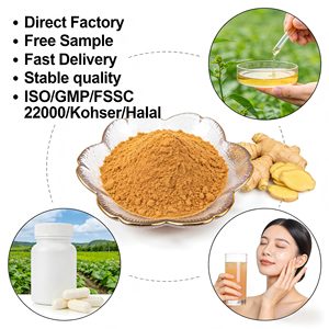 무료 샘플 생강 추출물 분말 5% 진저롤 식품 보충제용 - Product Image 1