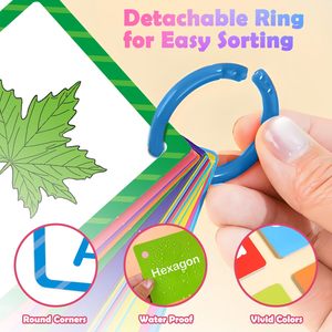 Tarjetas de Aprendizaje, Tarjetas de Memoria de Doble Cara para Números, Colores, Formas, Palabras Visuales, Actividades de Aprendizaje para Preescolar <span class=keywords><strong>y</strong></span> Jardín de Infancia - Product Image 4