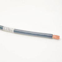 Cable de Alambre de Cobre BC Trenzado de PVC de un Solo Núcleo THW UL83 para Uso General Industrial