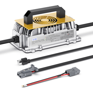 24v 36v 48v 60v <span class=keywords><strong>72v</strong></span> 15a 20a 25a 30a 100a Lifepo4 Lityum Kurşun Asit Taşınabilir Su Geçirmez Akü Şarj Cihazı Elektrikli Araçlar için - Product Image 3