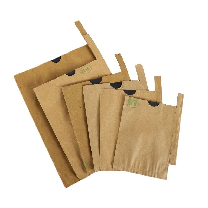 Paper Bag Fruit Mango Guava Pomegranate Protective Covering Protect Growing Wrapping Brown Kraft Paper Bag Printing