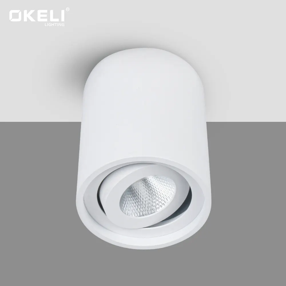 OKELI-lámpara de techo impermeable IP20, foco interior ajustable, 7W, 12W, COB, LED, superficie descendente