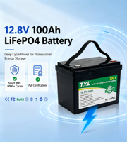 Batería de Litio de Alta Capacidad para Estación de Energía, Almacenamiento Estable, Paquete de Celdas de Iones Solares con BMS, Descarga de Alta Capacidad, 12.8 V, 100ah
