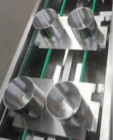 Convoyeur à tasses inclinées en acier inoxydable de type Z Focus Machinery, vitesse réglable pour les snacks et les fruits secs