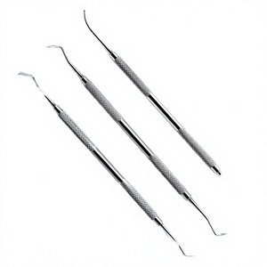 Ensemble d'instruments chirurgicaux dentaires manuels en acier inoxydable de qualité supérieure, 3 pièces, classe II, légers, certifiés CE, ergonomiques, par Blush - Product Image 2