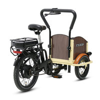 Tricycle électrique pour enfants TXED Factory Direct 24V/180W avec batterie au lithium, 3 roues, pour le transport de marchandises et les loisirs