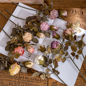 Rosa de Verano Seca de Doble Cabeza Estilo INS, Flor Artificial para Decoración del Hogar, Venta al por Mayor Transfronteriza - Product Image 2