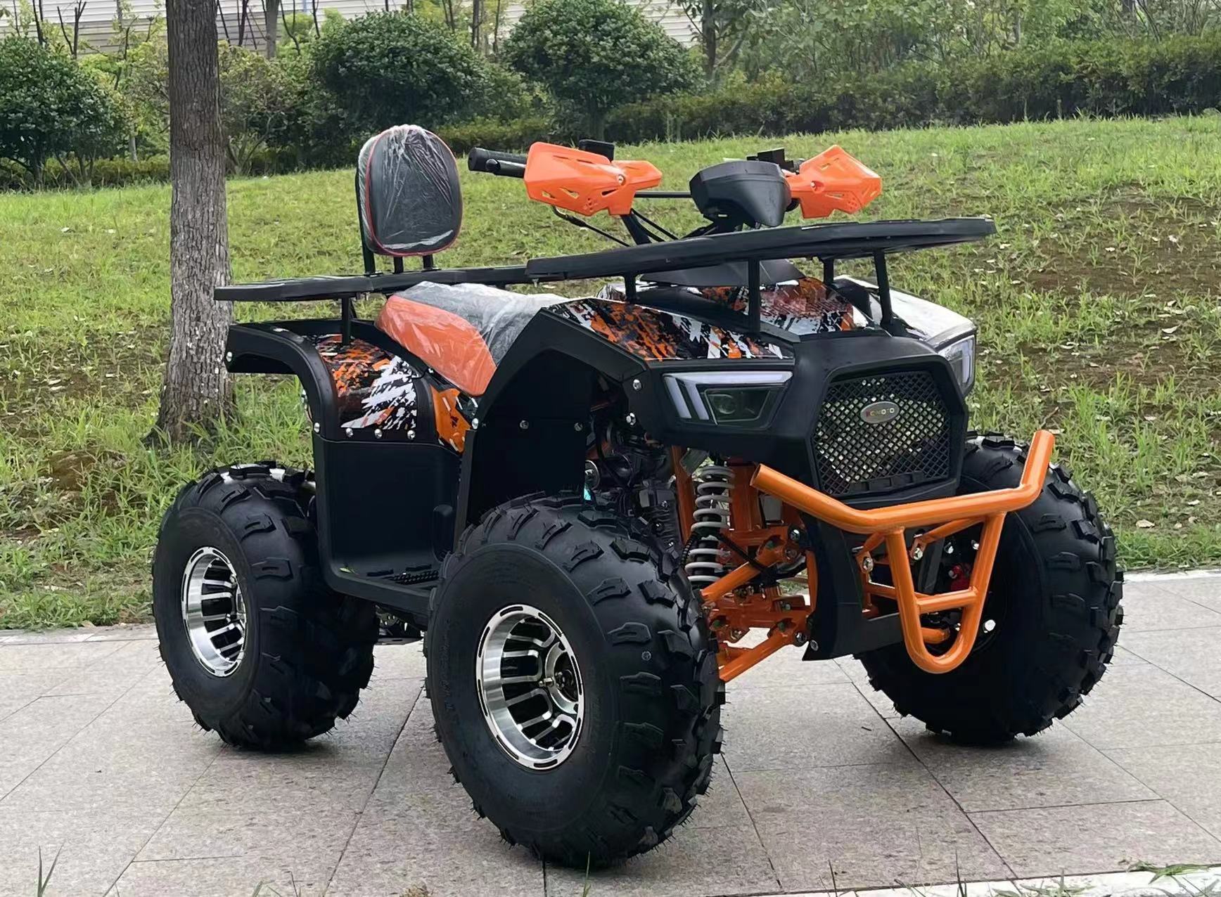 PIONEER Electric Utility ATV Quad bike ElectriRide