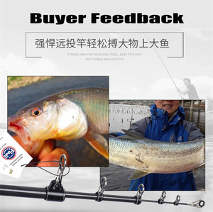 Caña de Pescar Telescópica LureStorm de 4.25m, de Alto Carbono, con Accesorios Fuji, 4 Secciones, para Pesca en Alta Mar de Trucha y Carpa - Product Image 5