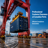 Service de dédouanement au Canada, déclaration efficace et conforme, agent maritime professionnel avec libération douanière rapide