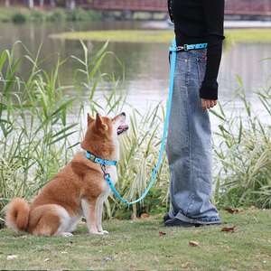 Goma de silicona de PVC impermeable macarrones coloridos clips dobles de plomo manos libres collar de perro y correa para perros pequeños - Product Image 4