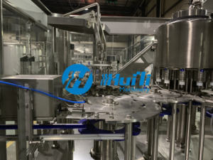 하이테크 2000 ~ 시간당 10000 리터 순수 미네랄 워터 충전 생산 라인 - Product Image 6