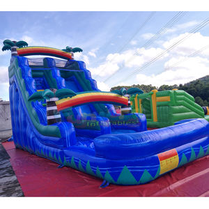 Tobogán Acuático Inflable Tropical de Colores con Piscina para Niños, Castillo Hinchable Acuático Comercial - Product Image 2