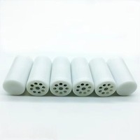 Columna de Sonido para Peluches de 42*22mm con Sonido de Pájaros y Chirridos