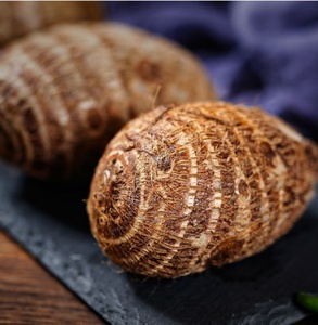 Nhà Máy cung cấp cây trồng mới rau tươi không khí khô và đông lạnh khoai môn gốc Trung Quốc khoai môn để bán - Product Image 5