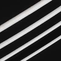 Many Sizes All Thread Rod Black White Plastic Nylon PA66 M12 Threaded Steel Bar Polyamide 66 Plastic Bolt Screw Din975 DIN976
