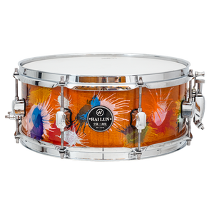 Hailun Cerceaux de haute qualité en <span class=keywords><strong>chrome</strong></span> moulé sous pression de 14 pouces, 10 trous en zinc moulé sous pression, caisse claire pour la marche - Product Image 5