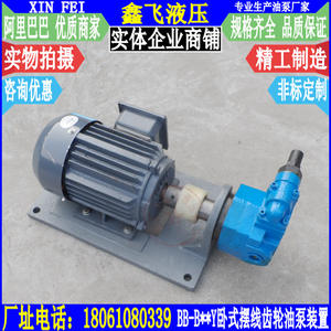 Pompe hydraulique horizontale à réglage de pression, unité moteur à engrenages cycloïdaux WBZ-BB-B40Y B50Y B63Y YJZ - Product Image 1