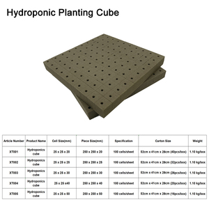 Cubo di Coltivazione in Schiuma Fenolica Piccola ad Alto Spazio Poroso e Alta Ritenzione Idrica per Coltivazione di Ortaggi in <span class=keywords><strong>Serre</strong></span> Agricole - Product Image 3