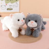 Vente en gros usine OEM personnalisé Jouet chaton en peluche moelleuse assorti avec breloque panier en fil métallique, cadeau pour collection d'enfants