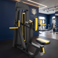 Équipement de musculation de haute qualité, directement de l'usine, pour salle de sport commerciale et usage domestique, machine verticale pour le dos avec garantie