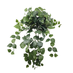 Plantas colgantes artificiales Pequeñas plantas artificiales en maceta flores decorativas coronas y plantas - Product Image 1