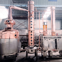 Alambic de distillation d'alcool commercial à haut rendement, à colonne en cuivre, pour gin, avec système PLC, de fabrication chinoise