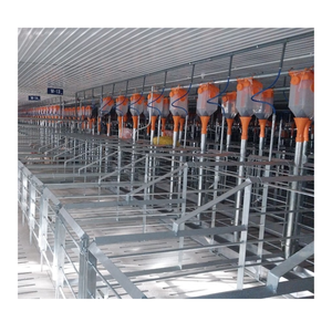 Pechera para cerdos preñados, parto para cerdos, diseño de 2 puertas galvanizado en caliente, incluye tolva de alimentación y cartón, hecho en Vietnam - Product Image 1