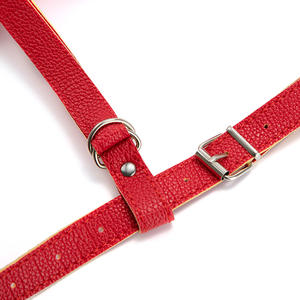 Silikon Frau Strap-On Dildo Vibrator Realistische Sexspielzeug für Erwachsene für Frauen aus <span class=keywords><strong>Lahore</strong></span> - Product Image 6