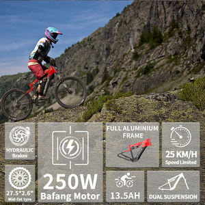 Bicicleta Eléctrica de Montaña Duotts E29 en Existencia en la UE y el Reino Unido, Bicicleta Eléctrica para Adultos - Product Image 2