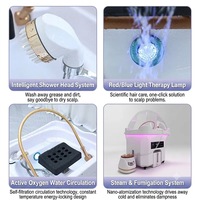 Équipement de spa capillaire japonais avec circulation thermostatique en cascade, réservoir d'eau de 60 L, bac à shampoing mobile avec vapeur et thérapie LED