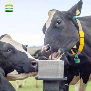 "10kg besar pertanian organik garam Lick blok untuk sapi domba dan kambing Ruminant pertanian nutrisi suplemen" - Product Image 3