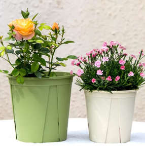 Blanc Vert Montagne Bassin Racine Contrôle Respirant Gallon Bassin Rose <span class=keywords><strong>Hortensia</strong></span> <span class=keywords><strong>Fraise</strong></span> Rempotage Pot De Fleurs En Plastique - Product Image 2
