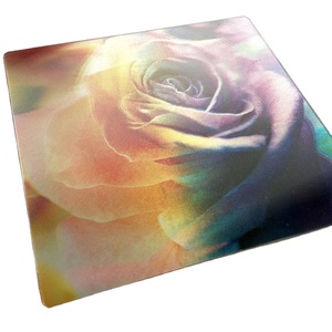 Film personnalisé héros Anime 3D impression de cartes lenticulaires 40x40cm 3d lenticulaire <span class=keywords><strong>affiche</strong></span> Flip 3D lenticulaire décoration photo avec chiens - Product Image 6