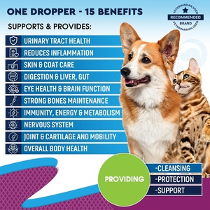 Haustier-Nahrungsergänzungsmittel 15 in 1 Katzen- & Hunde-<span class=keywords><strong>Multivitamin</strong></span>-Tropfen Natürliche Vitamine & Mineralien Flüssig für Haut, Herz, Gelenke, Immununterstützung - Product Image 6