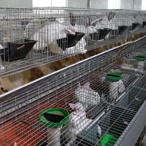 Rouleaux de treillis soudé galvanisé électriquement, revêtus de PVC, à surface lisse, mailles de 20*40mm, 50*100mm, de haute qualité, pour cages à visons - Product Image 6