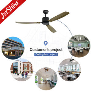 1stshine fabricant ventilateur ceil industriel moderne abs plastique fer bldc ventilateur de plafond avec 3 pales en plastique - Product Image 5
