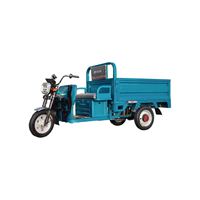 Triciclo Eléctrico de Gran Potencia, Triciclo E Rickshaw para Adultos, Otros Triciclos para Pasajeros CKD