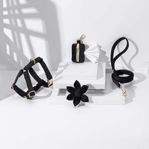 Verstellbares Hunde training Ketten halsband Tag Hunde geschirr Set und Halsband Leine Set Langlebiges Westen geschirr Benutzer definierter Hundekot Taschen halter - Product Image 2