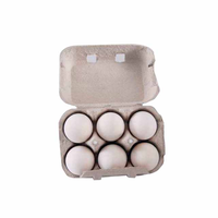 Six Pack Détient 6 Cellules Jumbo Oeufs Boîte D'emballage Biodégradables Papier Oeufs de Caille Emballage Plateau Boîte Cartons