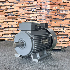 Qiangkai 370W 삼상 비동기 모터 110V/220V/230V/240V/380V 1500 RPM 50/60Hz B3 장착 완전 밀폐형 - Product Image 4